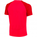 Vyriški Marškinėliai Nike Academy Raudoni DH9225 635