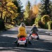 Baltas traktorius su priekaba + priedai nuo 1 metų FALK Baby Valtra