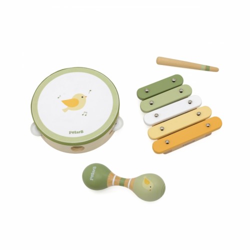Muzikos instrumentų rinkinys su paukščiu VIGA PolarB