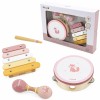 Muzikos instrumentų rinkinys, rožinis VIGA PolarB