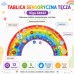 Medinė sensorinė-manipuliacinė edukacinė lenta vaikams – FSC sertifikuota VIGA EDU „Vaivorykštė