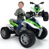 Keturatis INJUSA LARGE Quad Rage 24V Extreme nuo 6 metų iki 50 kg