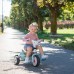 Triratis, mėlynas SMOBY Baby Balade Plus