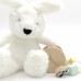 Pirmieji žaislai 0-6 mėn. Pastel Baby Box CLASSIC WORLD