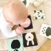 Pirmieji žaislai 0-6 mėn. Pastel Baby Box CLASSIC WORLD