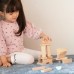 Edukacinis žaidimas: Paukščiai 23 vnt. CLASSIC WORLD