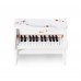 Medinis pianinas vaikams su mokymosi knygele CLASSIC WORLD