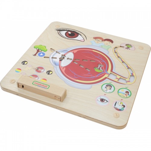 Regos pojūčių ugdymo lenta MASTERKIDZ Montessori