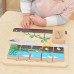 Medinė edukacinė pupelės gyvenimo ciklo lenta vaikams MASTERKIDZ