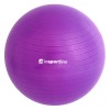Gimnastikos Kamuolys + Pompa inSPORTline Top Ball 55 cm - Violetinis