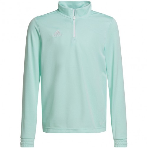 Vaikiškas Džemperis Adidas Entrada 22 Training Top Mintinis HC5056