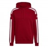 Vyriškas Džemperis Adidas Squadra 21 Sweat Hoody Raudonas HC6282
