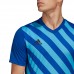 Vyriški Marskinėliai Adidas Entrada 22 Graphic Jersey Mėlyna HF0116