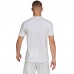 Vyriški Marškinėliai Adidas Entrada 22 Baltai Pilkas HF0129