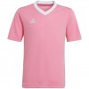Vaikiški Marškinėliai Adidas Entrada 22 Jersey Rožinė HC5055