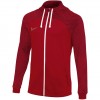 Vyriškas Džemperis Nike Strike Raudonas DH8768 657