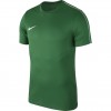 Futbolo marškinėliai  Nike Dry Park 18 SS AA2046 302
