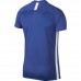 Futbolo marškinėliai Nike M Dry Academy SS AJ9996 480