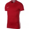 Futbolo marškinėliai Nike M Dry Academy SS AJ9996 657