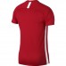 Futbolo marškinėliai Nike M Dry Academy SS AJ9996 657