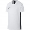 Vaikiški Marškinėliai Nike Dri-FIT Academy SS Top JUNIOR AO0739 100