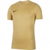 Vyriški Marškinėliai "Nike Dry Park" VII JSY SS Auksiniai BV6708 729