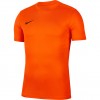 Futbolo marškinėliai Nike Dry Park VII JSY SS BV6708 819