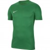Vaikiški futbolo marškinėliai Nike Dry Park VII JSY SS BV6741 302