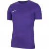 Vaikiški futbolo marškinėliai Nike Dry Park VII JSY SS BV6741 547