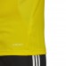 Vyrų Adidas Regista 20 Marškinėliai Geltonas FI4556