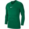 Vyriški Marškinėliai "Nike Dry Park First Layer JSY LS" Žali  AV2609 302