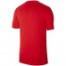Vyriški Marškinėliai "Nike Dri-FIT Park" Raudoni CW6936 657