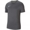 Vyriški Marškinėliai Nike Dri-FIT Park 20 Pilka CW6952 071