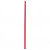 Gimnastikos lazda NO10 80 cm SPR-25080 R, raudona