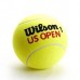 Teniso kamuoliukai WILSON US OPEN 3 vnt 