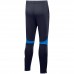 Vaikiškos Kelnės "Nike Academy Pro Pant Youth" Tamsiai Mėlyna DH9325 451
