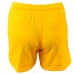 Vaikiški futbolo šortai Nike Park II Knit Short NB JUNIOR 725988 739  