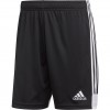 Futbolo šortai adidas Tastigo 19 Shorts DP3246