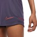 Moteriški Šortai Nike Dri-FIT Akademija Violetinė CV2649 573