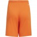 Vaikiški Šortai Adidas Squadra 21 Short Youth Orange