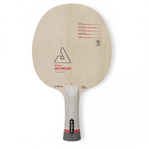 Stalo teniso raketės pagrindas JOOLA BASEline Off, ST rankena (tiesi)
