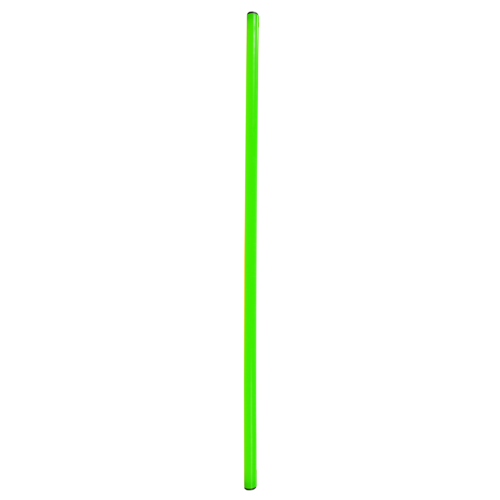 Gimnastikos Lazda NO10 SPR-25120 G 80 cm